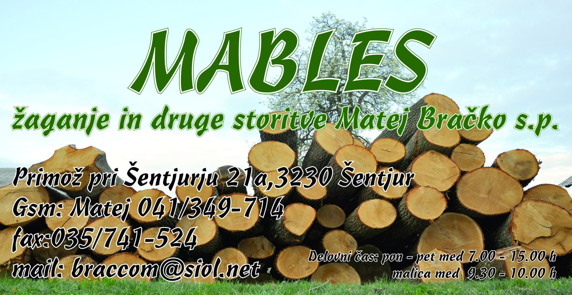 Žaganje lesa Štajerska regija